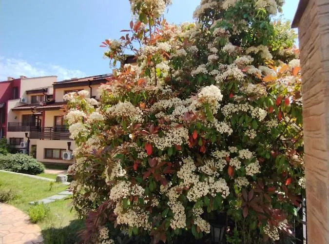 Morski Far Lighthouse-bastet Bs Lägenhet *